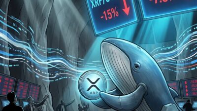 Solo el 43% del suministro de XRP está en ganancias: mínimo de 21 meses mientras las ballenas frenan ventas - Imagen